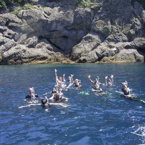 Esperienza di immersioni di snorkeling nelle acque del Golfo del Tigullio e dell’Area Marina del Monte di Portofino